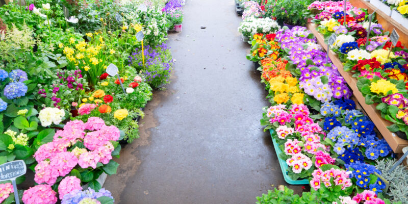 culture des fleurs à paris